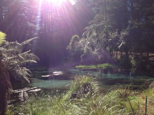 poposprings