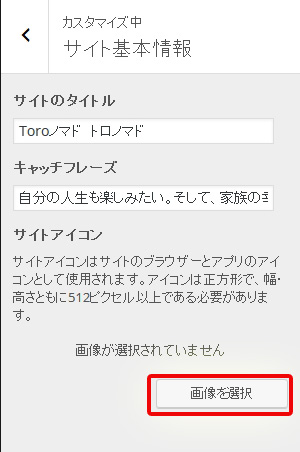 custam1
